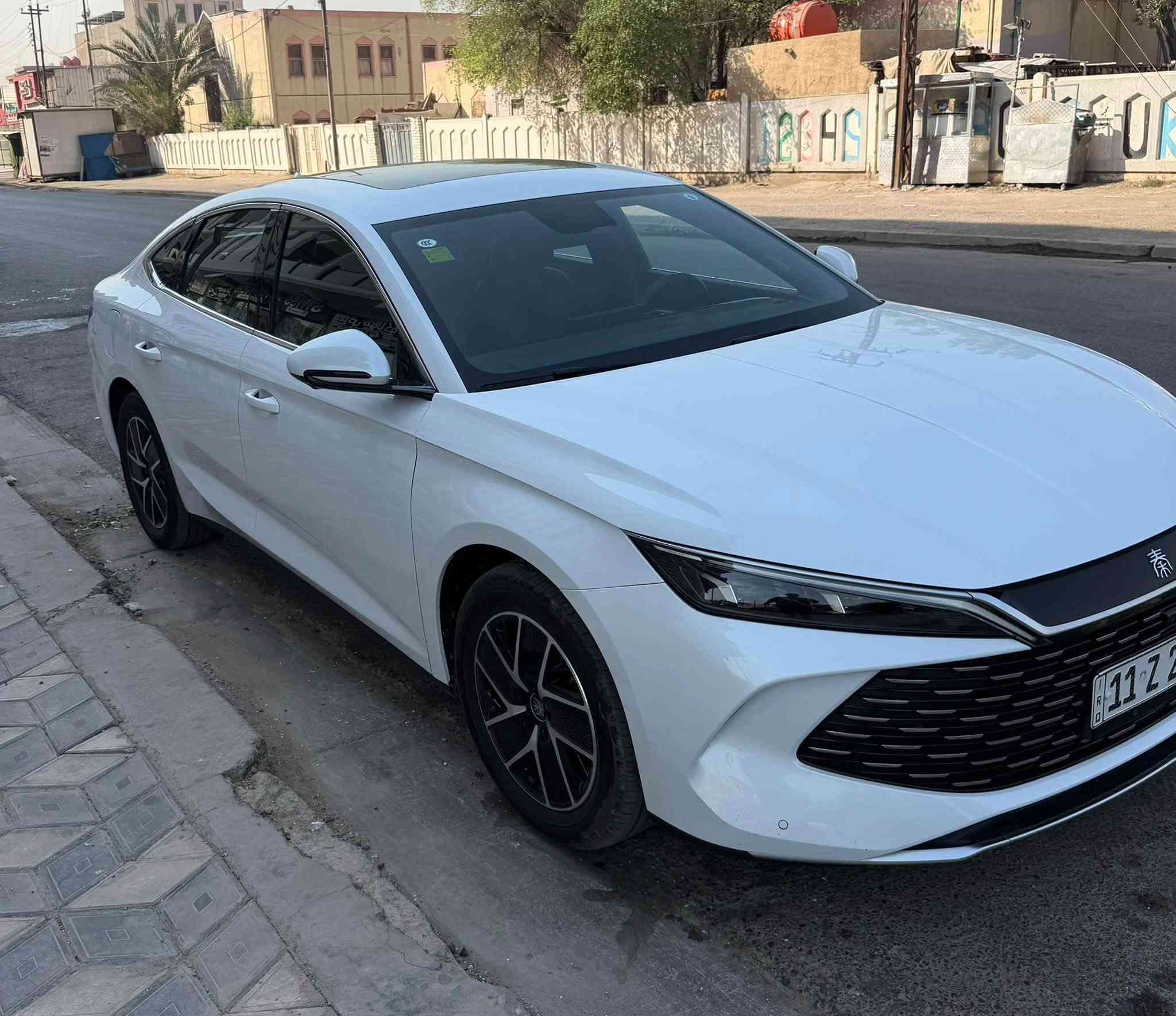 قين L • ٢٠٢٤ • بغداد السيديه