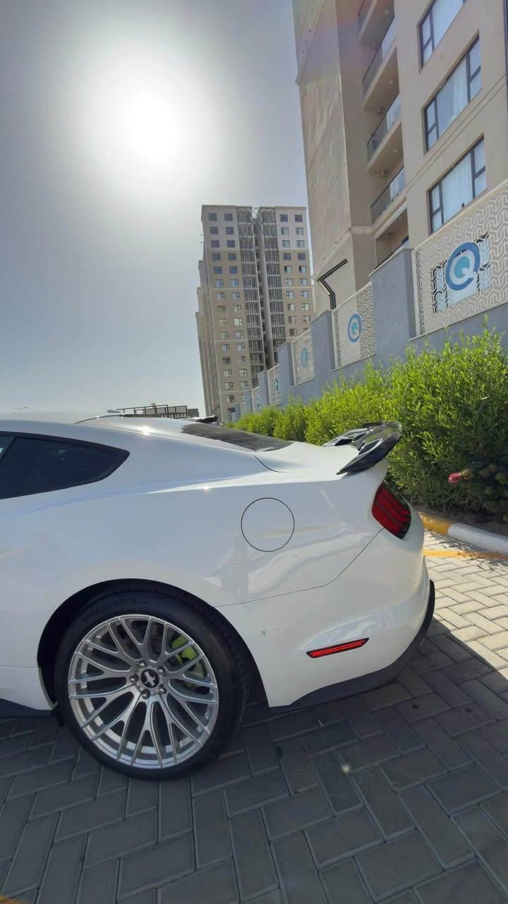 🚗 فورد موستنك EcoBoost Premium 2020
🔺مواصفات السيارة
▪️ محرك 2300 CC تيربو
▪️ كير 10 نمر
▪️ فئة Premium Black Edition
▪️ شاشة كبيرة (كاربلاي)
▪️ كاميرا خلفية
▪️ شفتات ستيرن
▪️ كشنات كهرباء
▪️ تدفئة وتبريد الكشنات
▪️ مرايا هيتر
▪️ تشغيل عن بعد
▪️ تنزيل الجامات عن بعد
▪️ حساسات خلفية
▪️ 5 وضعيات قيادة
▪️ 3 وضعيات ستيرن
▪️ إنارة داخلية متعددة الألوان
🔺 معلومات السيارة
▪️ رقم السليمانية
▪️ تحويل مباشر
▪️ ماشية 123 ألف كم
▪️ كير ومكينة مكفولات
▪️ صدر أمامي وخلفي
▪️ تبريد ثلج
▪️ تخم تايرات جديد
🛠️ الضرر
▪️ حادث خفيف
▪️ قطعتين وربع صبغ فقط
    الجاملغ والبنيد وربع الجاملغ جهة السائق
للاستفسار: ***********
