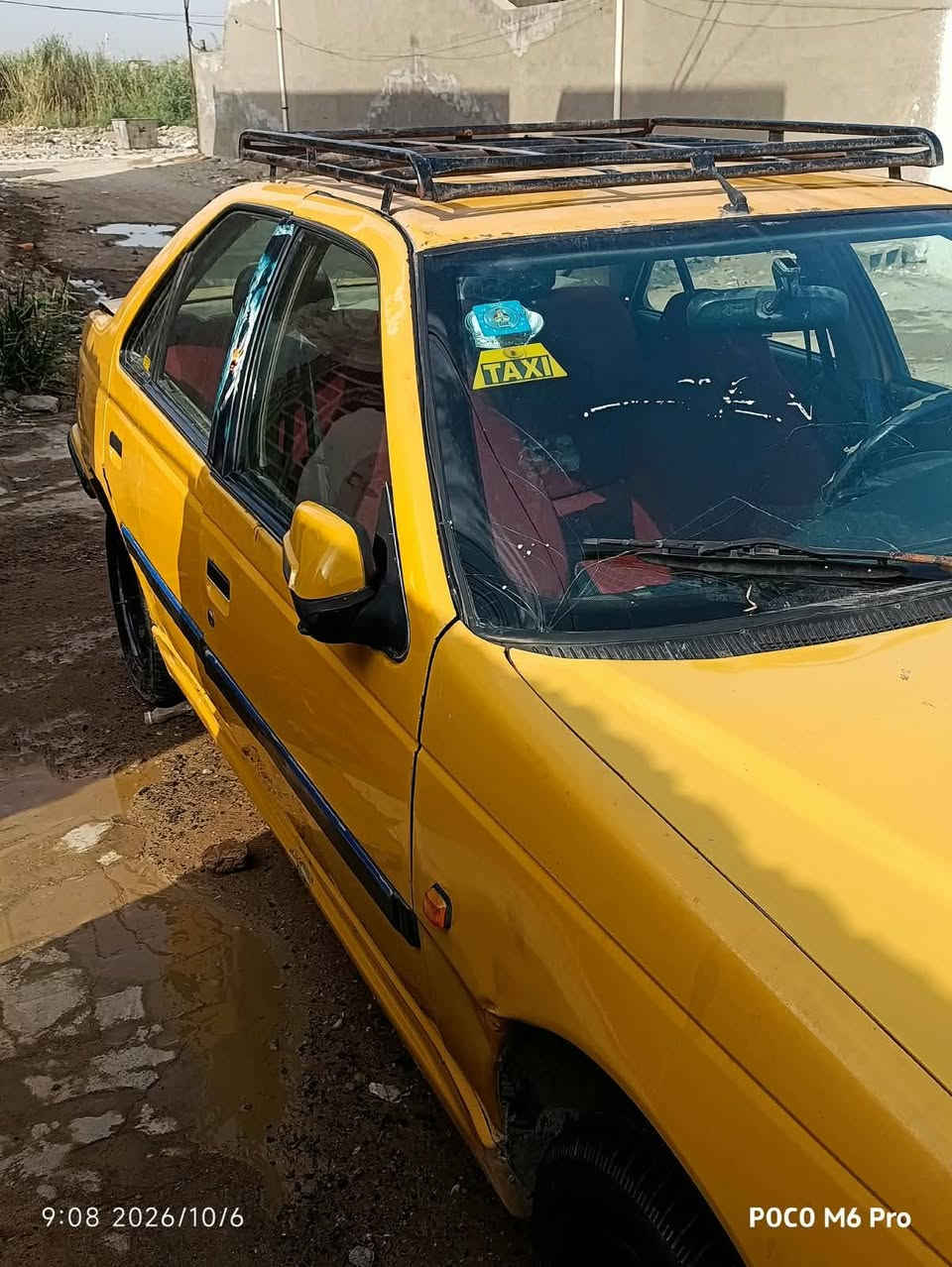 بيجو بارس • ٢٠١٠ • الكوت
