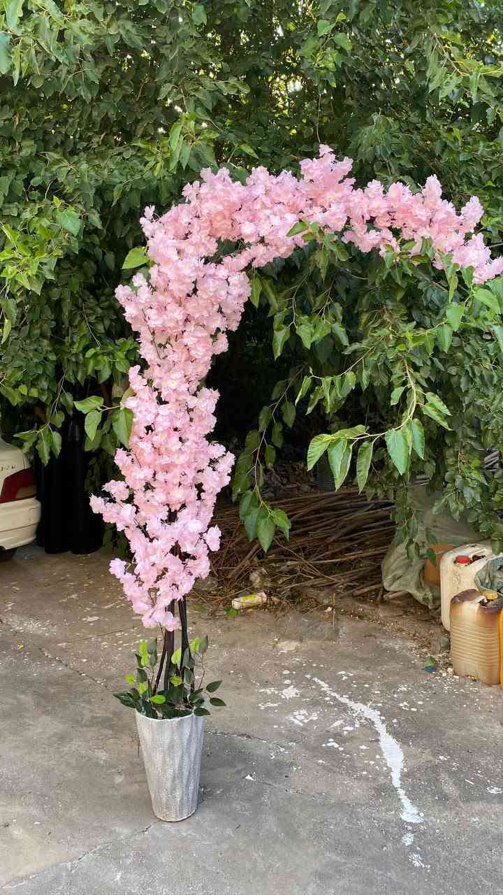 السلام عليكم اش يعجبك راسلني واتساب ودلل *********** اسعار معمل جمله الجمله ومفرد ابسعر الجمله
