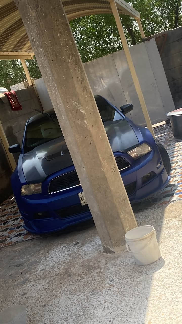 موستانغ • تفصيله • واتساب