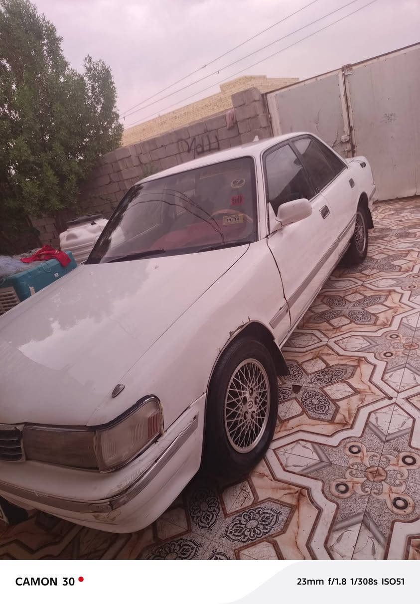 مارك كربلاي • مكفول • ٤ بستم