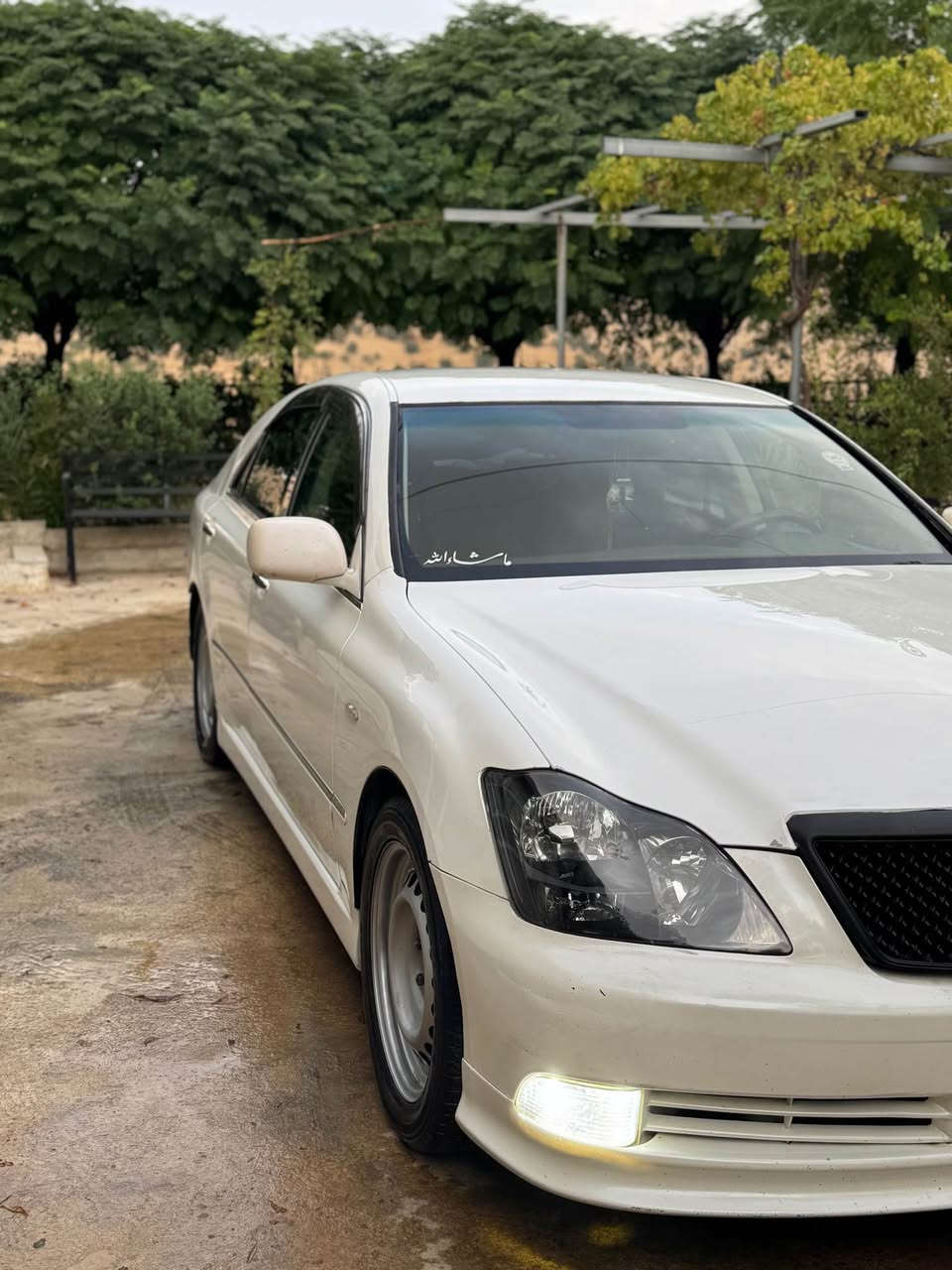 شاهين • ٢٠٠٥ • ١٨٢ ألف كم