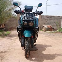جديدة • بالباكيت • كربلاء