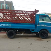 كيه بنكو • ديالى • مكفولة عام
