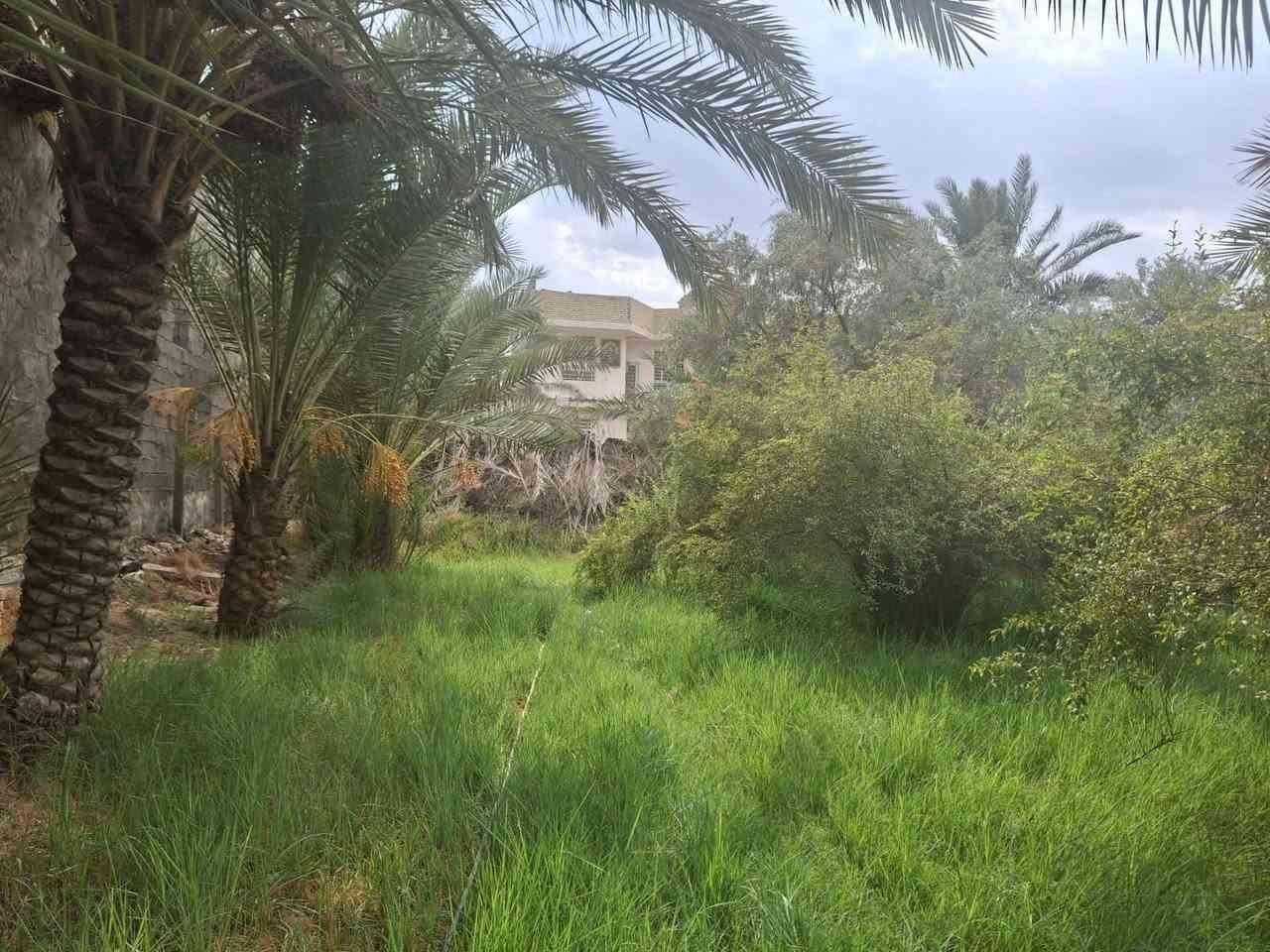 دونم ونص • واجهة ٣٤م • طابو سند ٢٥