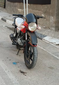 بوكسر • جبلي • ٢٠٢٢