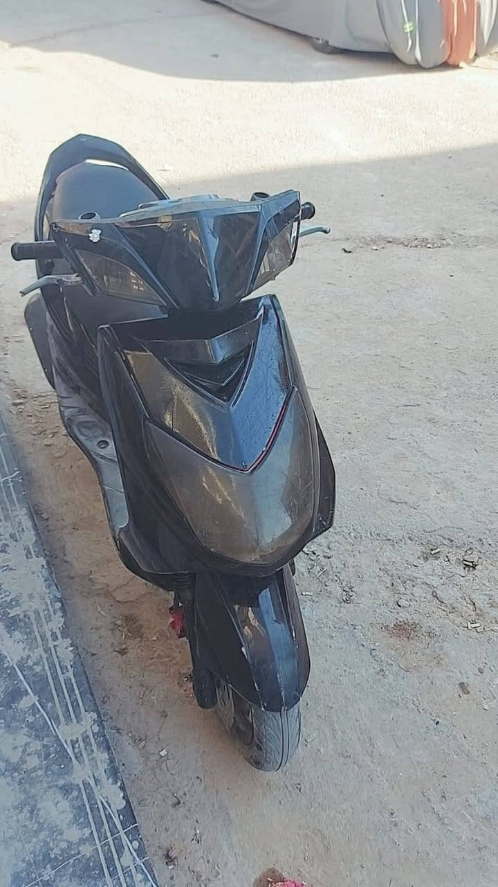 سلام عليكم سكنس فحل للبيع كوم حديد  مكاني زعفرانيه سعر٢٥٠ ***********
