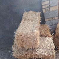تبن كبس • مضغوطة • واصل للبيت
