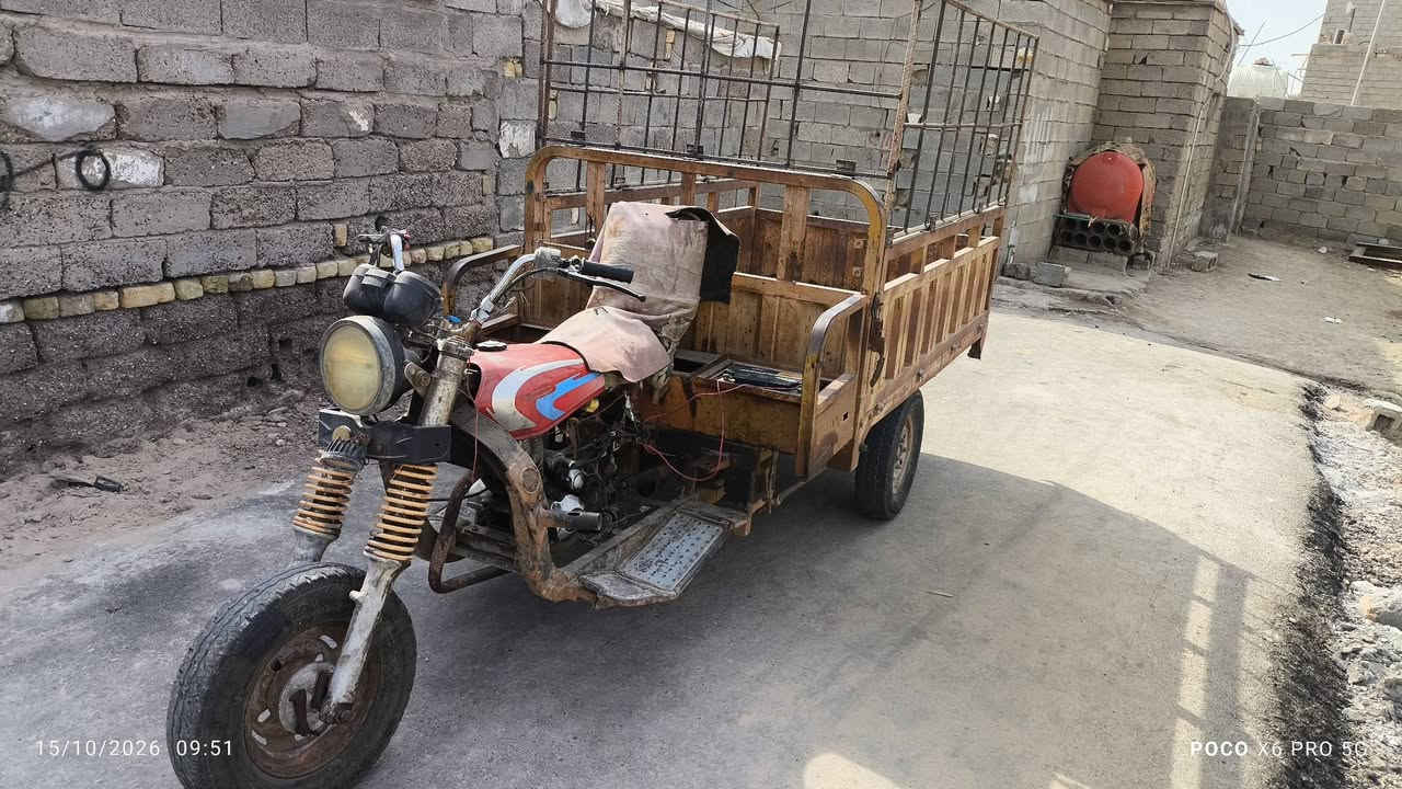 ستوته • بدون أوراق • قلعة صالح