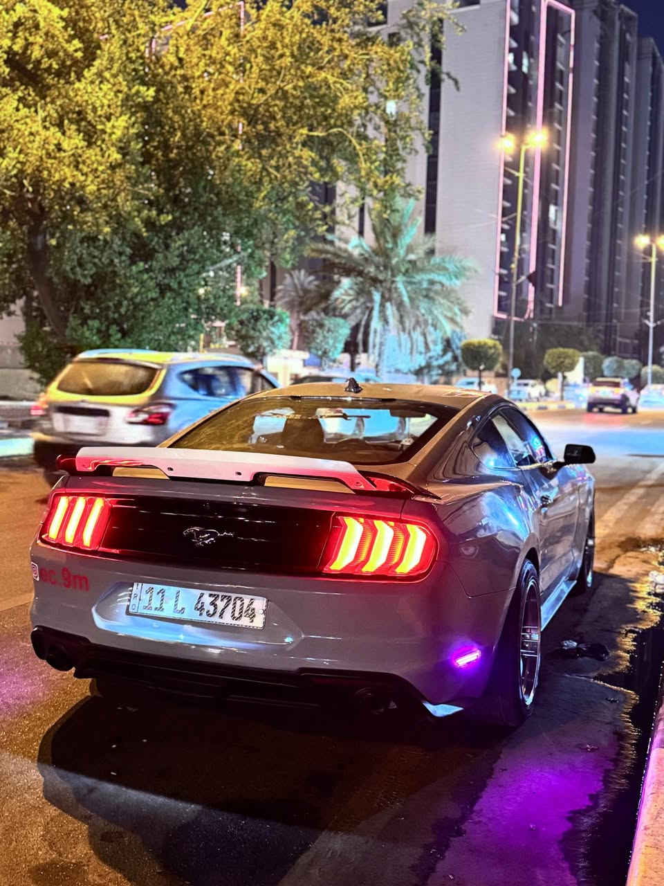موستانغ ايكو بوست • ٢٠٢٢ • مصدومه