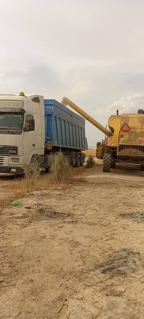 للبيع فولفو (٢٠٠١) سنويه جديد مربوطة نساف كلو بلشرط المكان الحويجة (***********)السعر(٢١٥) بي مجال حك الجيه
