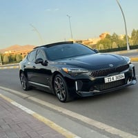 ستنكر GT2 • ٣٣٠٠ توين تيربو • ٩٢ ألف كم