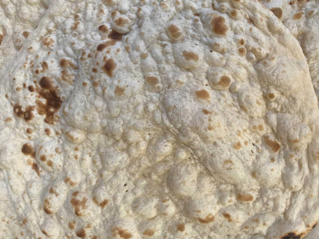 خبز طازج • طلبات عزائم • حي الانتصار