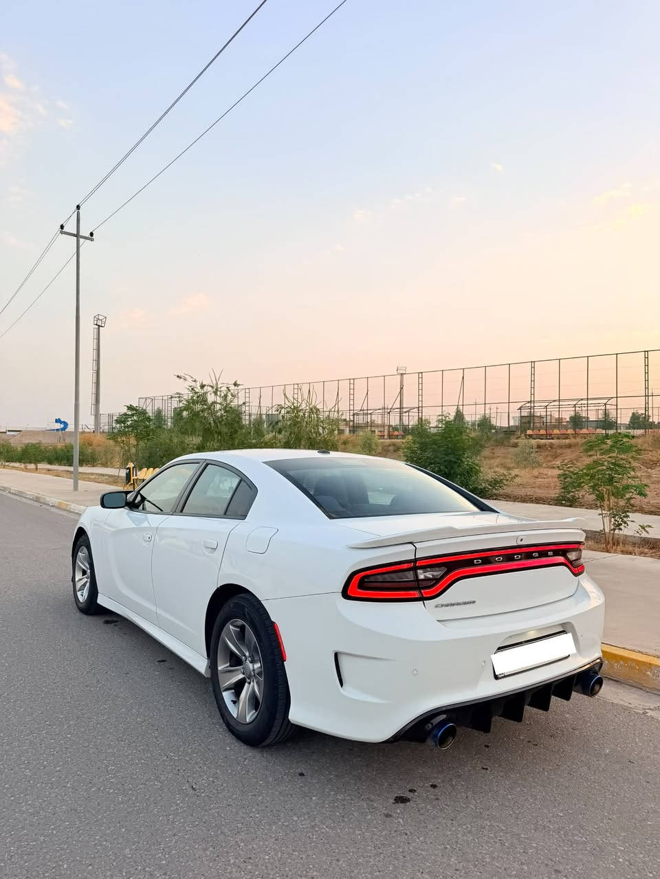 تشارجر SXT • ٢٠١٩ • رقم اربيل