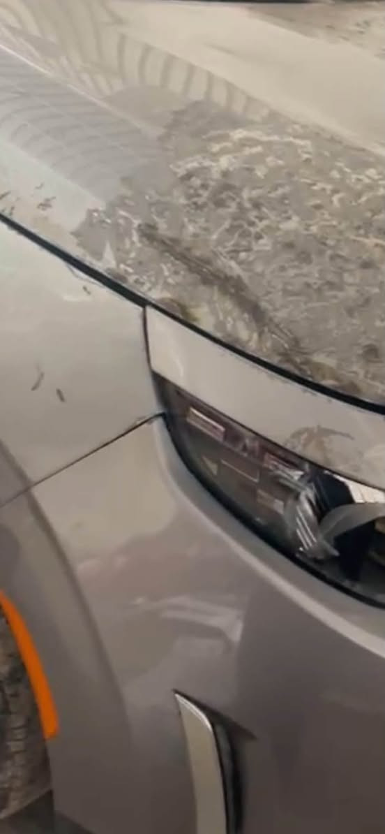 سلام عليكم صول 24 رقم بغداد شهداء بسمنه وكاله عامه دخول جديد بس ارباك ستيرن خشم البنيد وبارد شبر بجاملغ 138 
ستفسار ***********

نص مكتوب في الصور:
- قص