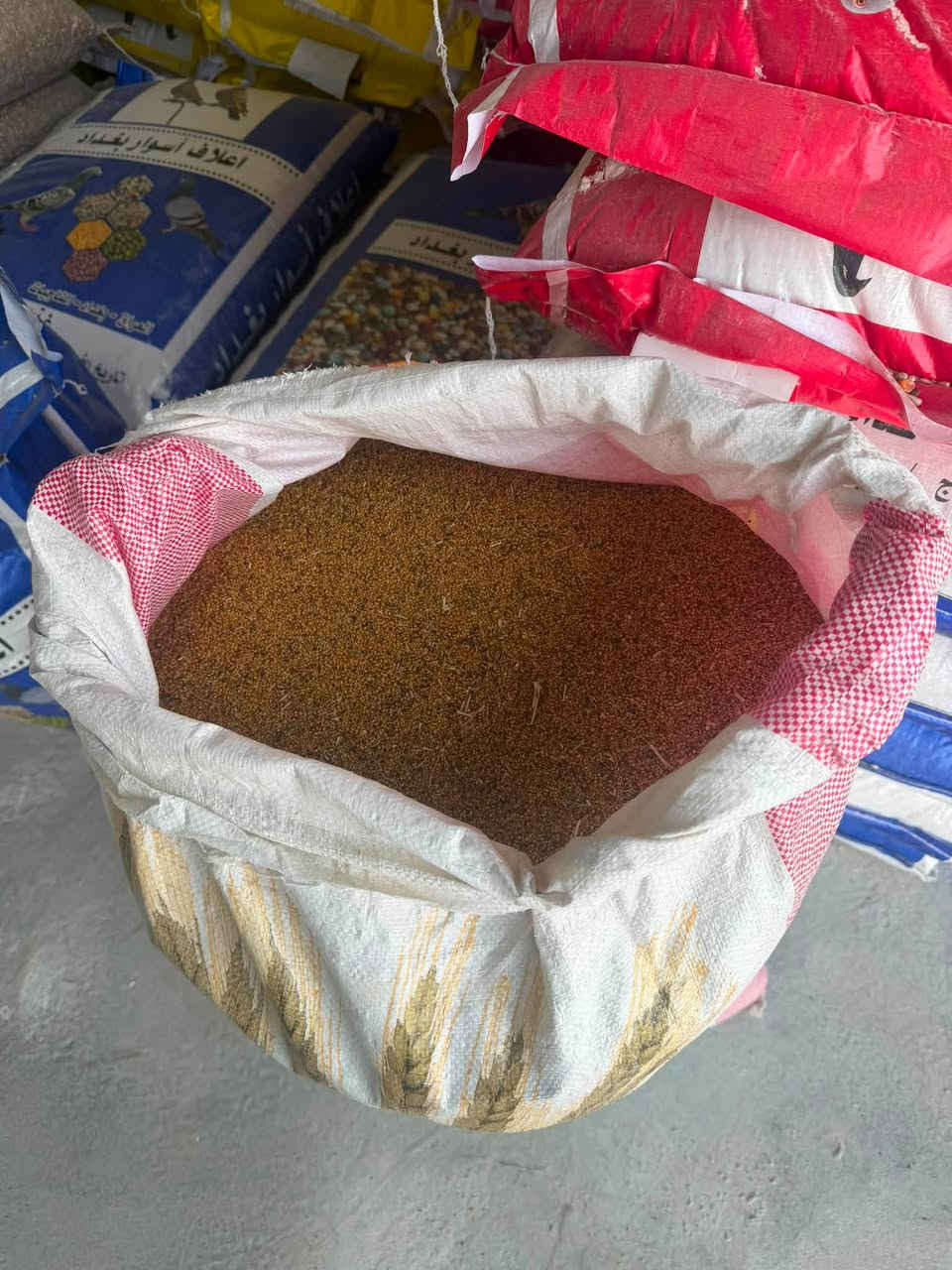 متوفر برسيم مصري تبزير عراقي
في علوة التميمي قرية اركبة
***********
***********
