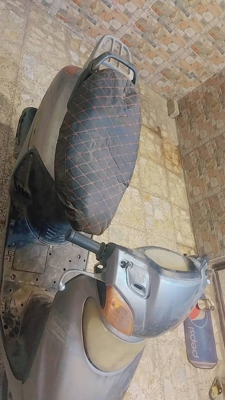 سبيسي • ياباني • محروقة