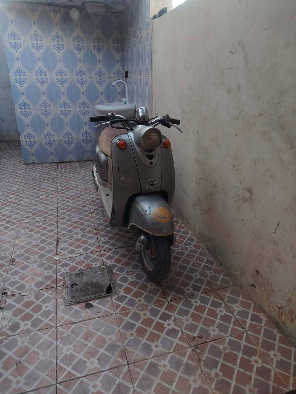 فينو • كنعان • نكره سلف