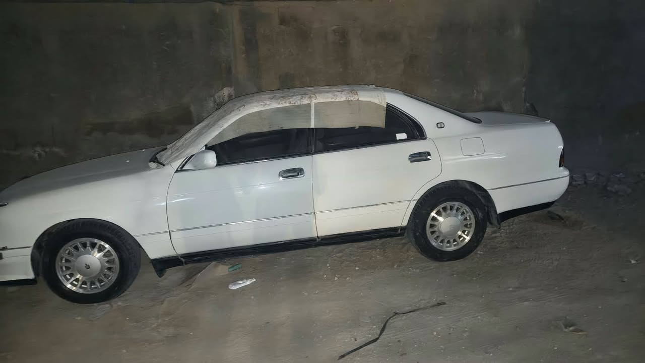 بطه • صبغ جمالي • بصره