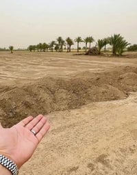 اليوسفية • مزارع نموذجية • واجهات ٤٠-٤٥م