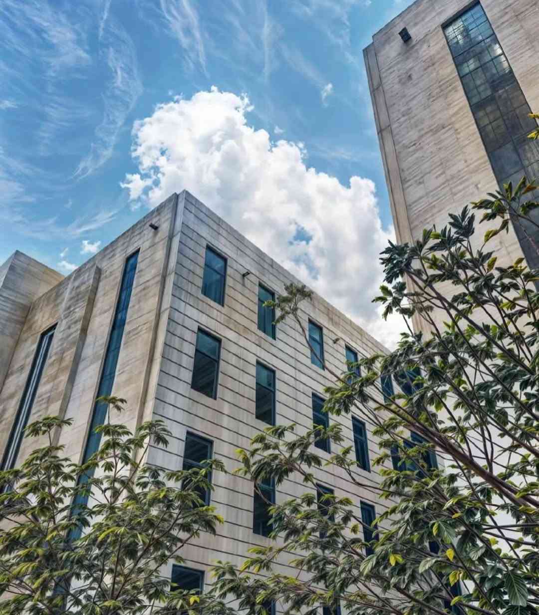 تسجيل • جامعة الفراهيدي • بالخدمة