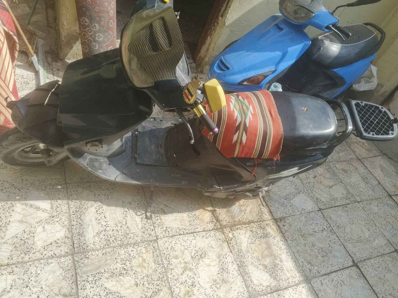 فراشه • فحل • نضيفه