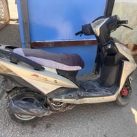 قاسم الشراي • للبيع • مجهول النوع