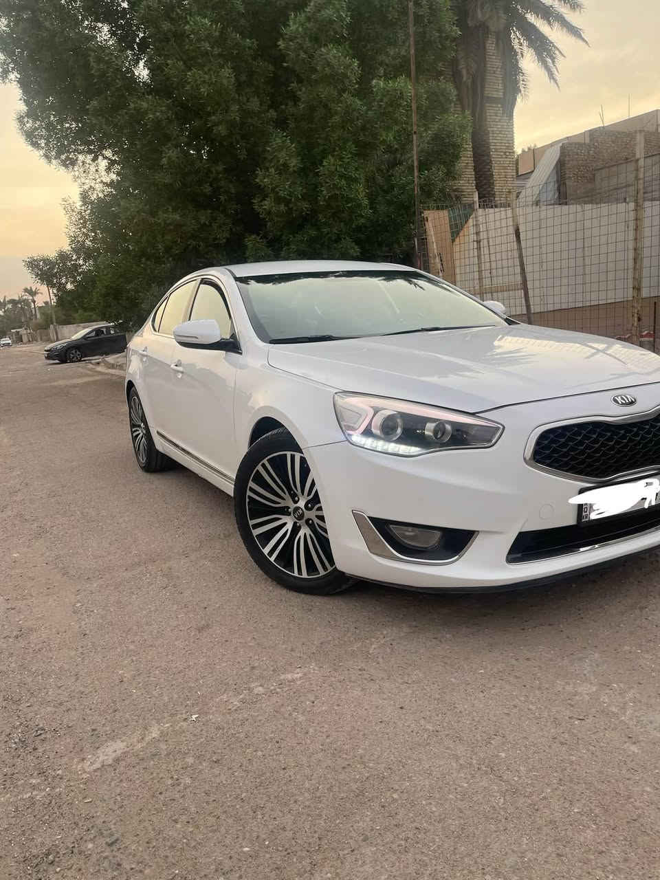 كادنزه • ٢٠١٦ • رقم اربيل