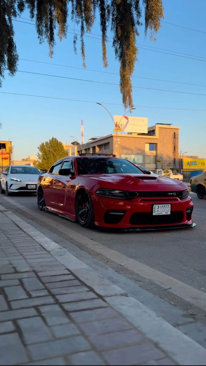 تشارجر SRT392 • ٢٠١٨ • رقم بغداد