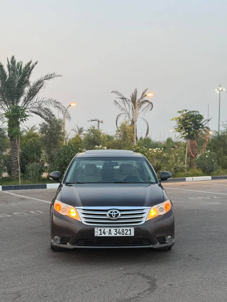 افلون • ٢٠١١ • وارد امريكي