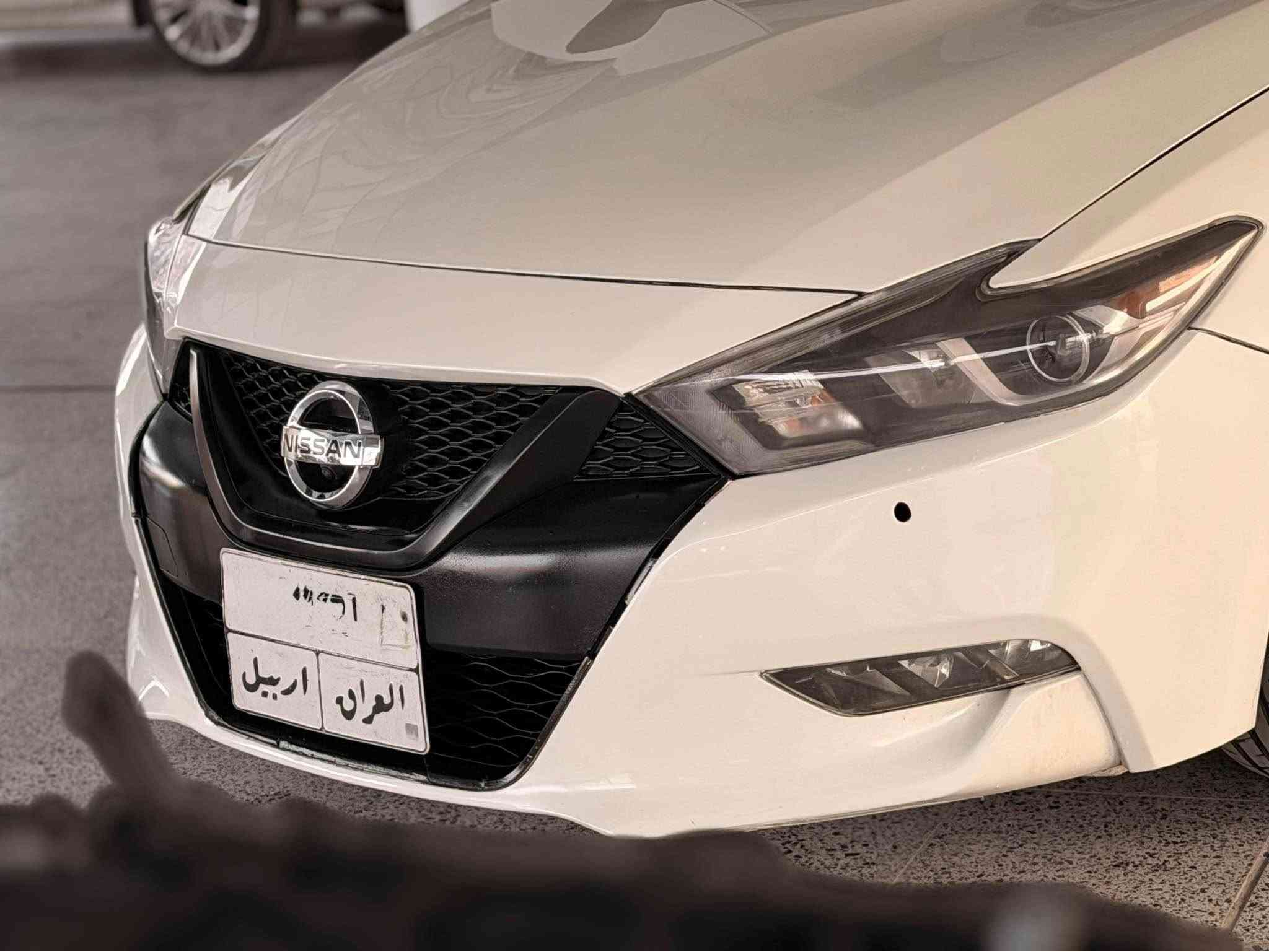 ماكسيما • ٢٠١٦ • رقم اربيل