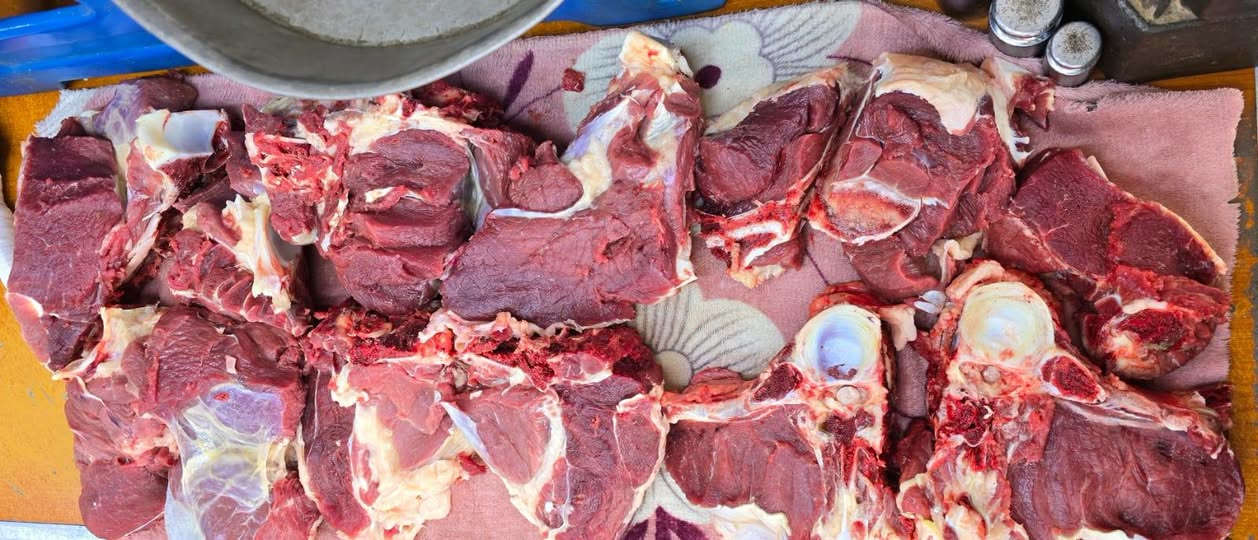 لحم طلي عراقي • لحم عجل عراقي • خانقين كهريز السفلى