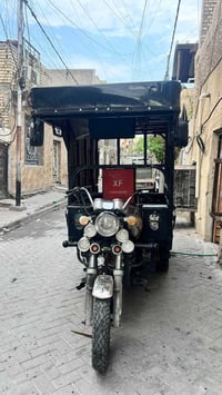 ستوته صقر • موديل ٢٠ • أوراق كاملة