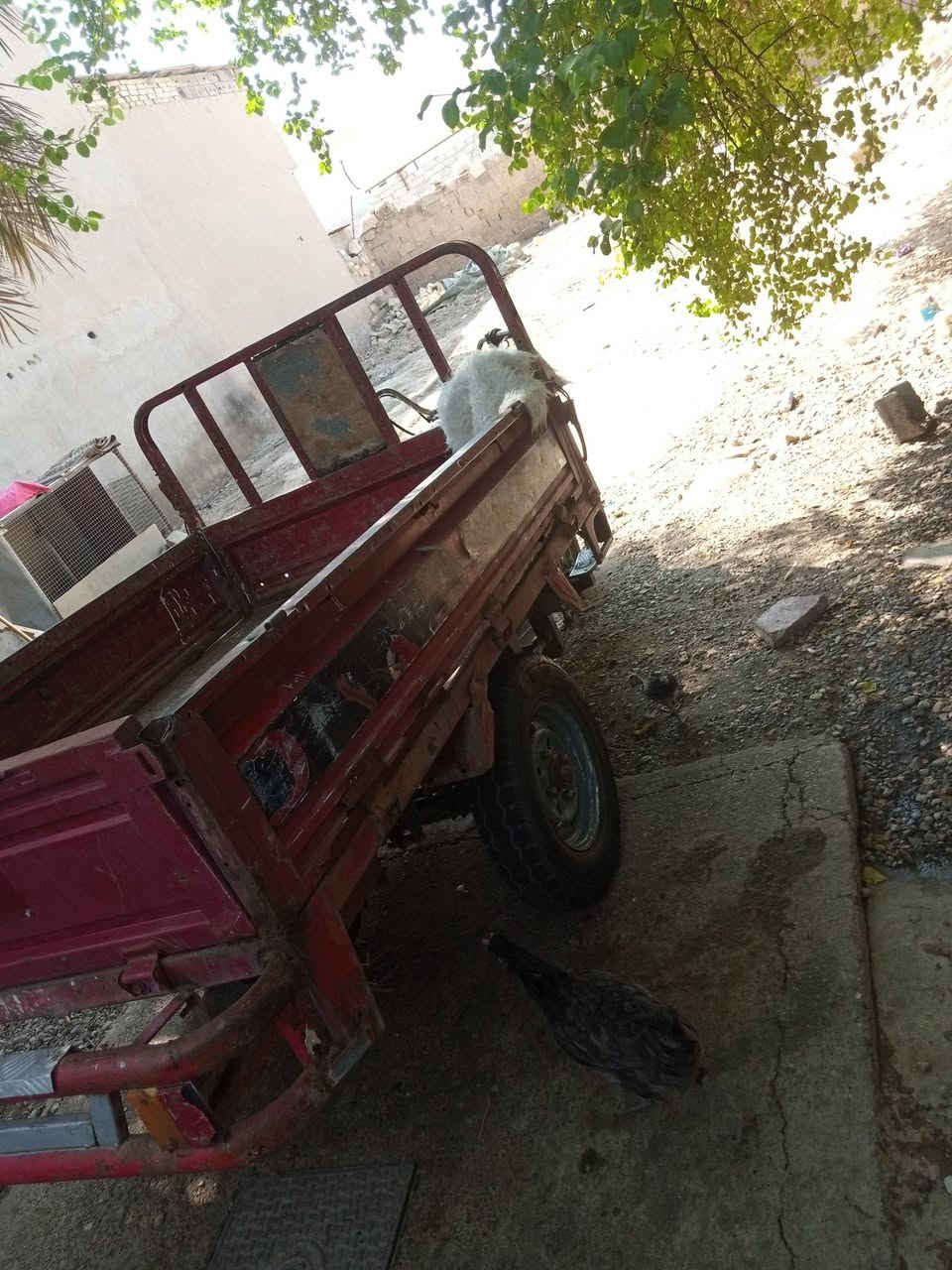 ستوته للبيع اي نقص ما بيها كل شي واضح بالصورهموديلها 18 مو شراي لا يتعبني.السعر 700. مو تجين قول لي ايش بيها ما بيها.اوراق ما بيها ومقفوله من سرقه وعشائر.رقم التليفون العنوان بغداد.***********
