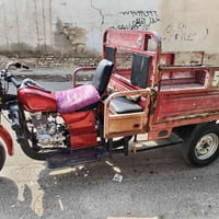 ستوته • نضيفه • بدون أوراق