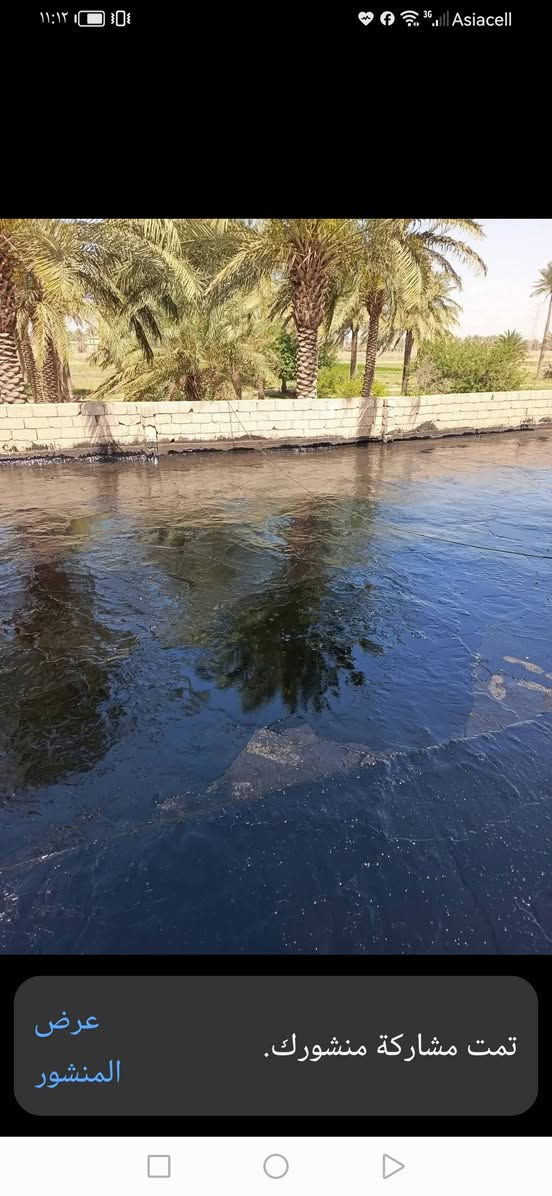سلام عليكم مستعدون لتجير السطوح والبيوت والدوائر الدولة بسعر مناسب وشغل درجة اولى اتصال على هذه الرقم *********** موجود وتساب اني بل خدمه
