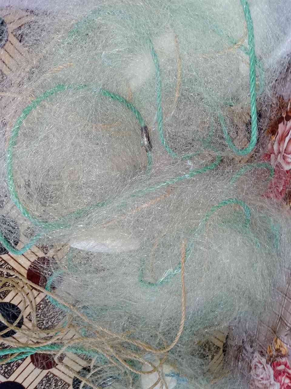 غزل عين 25و23 • خيط 14 • جديد