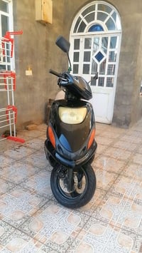فراشة دولفين • ١٤٠ • جاهزة
