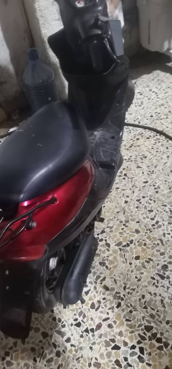 بيجي • سلف وهندل • ما عوزه شي