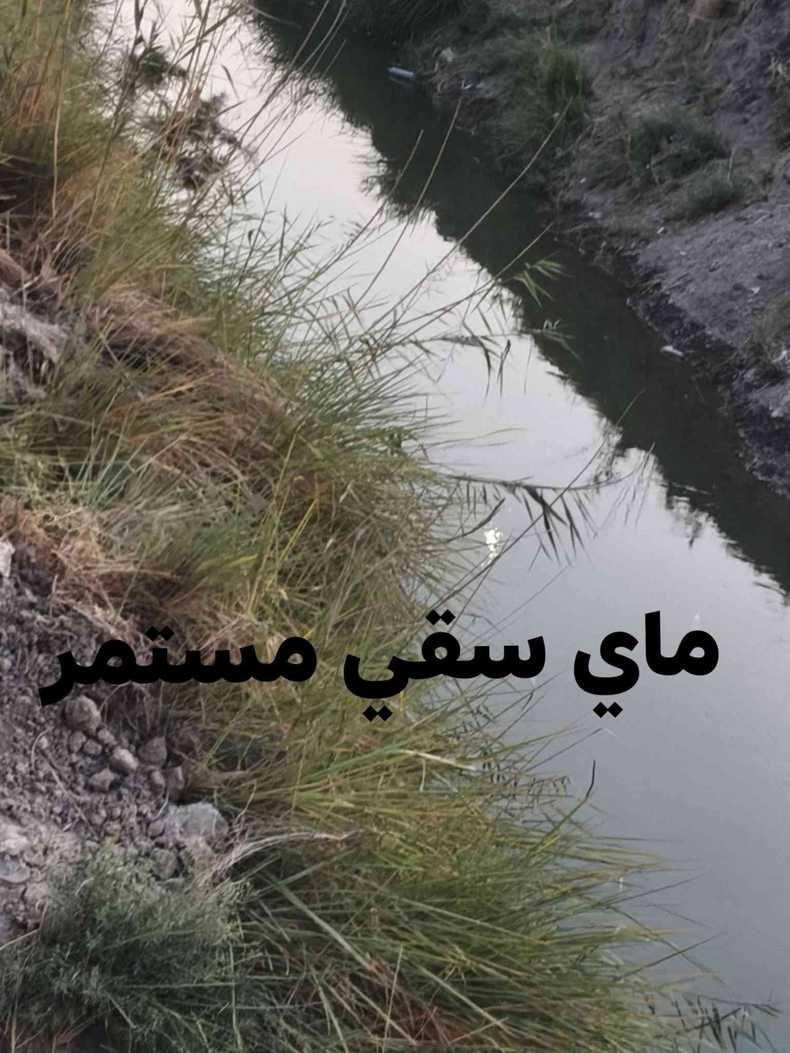 ١١ دونم • سند ٢٥ زراعي • طريق الديوانية-النجف