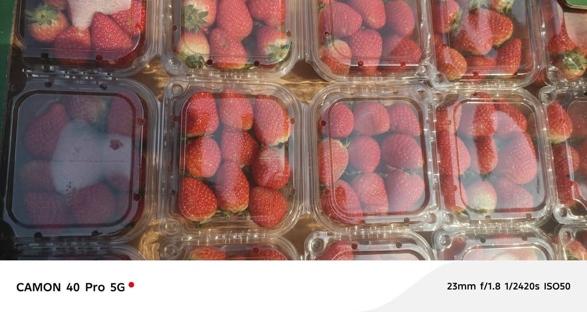 فواكه وخضرة • توصيل • علوه أبو حسن