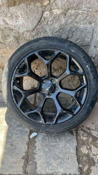 ويل 20 تخم  عنكبوت للبيع ‏اتصل  ‪07751255944‬‏