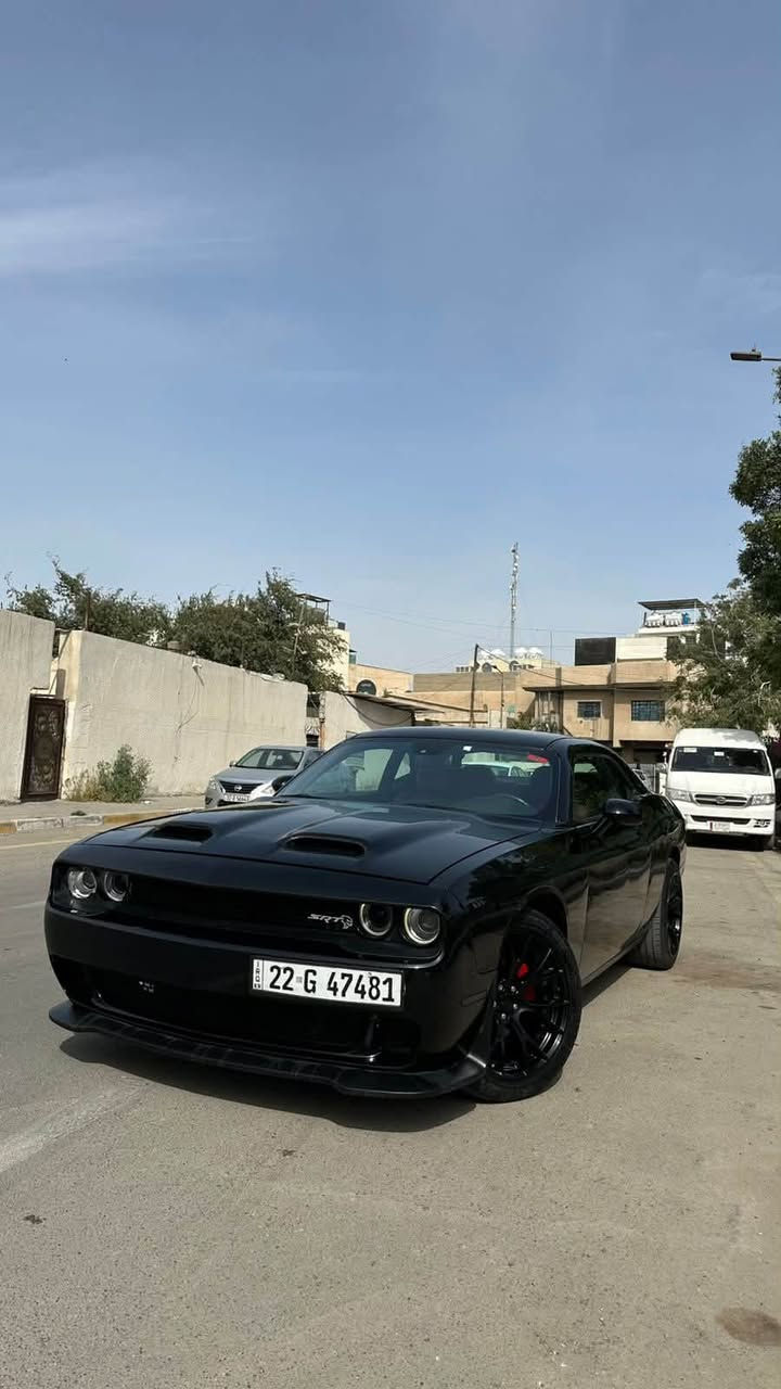 جالنجر • ٢٠١٦ • للبيع