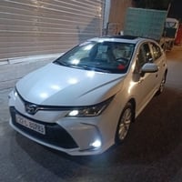 كورلا خليجي • ٢٠٢٤ • رقم اربيل