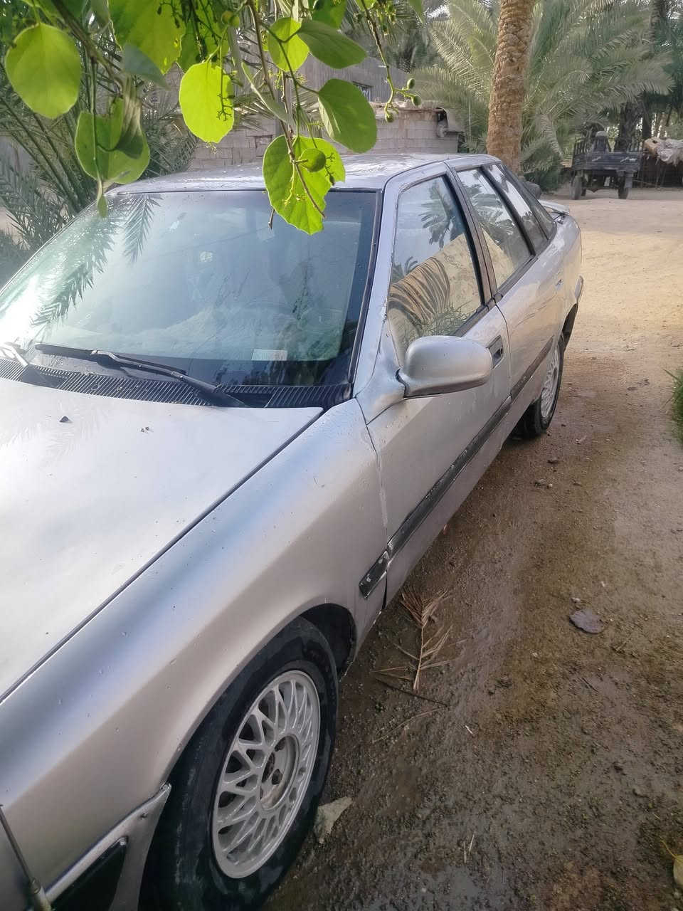 دايو اسبرو • كهرباء كامله • ابو صخير