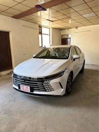 بي واي دي ديستروير • ٢٠٢٥ • ٦٠٠ كم