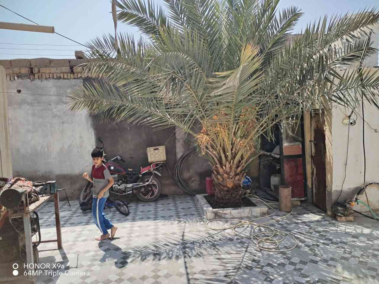 بيت زراعي للبيع مساحه 220 متر مكانه الفضليه حي العرب قرب حسينيه أصحاب الكساء يتكون من غرفتين وصالتين وديوانيه وصحيات داخليه وخارجيه وساحه جبيره السعر 48 وبي مجال للاستفسار ***********

نص مكتوب في الصور:
- HONOR X9a 64MP Triple Camera
- HONOR X9a
- 64MP Triple Camera
- O HONOR X9a
