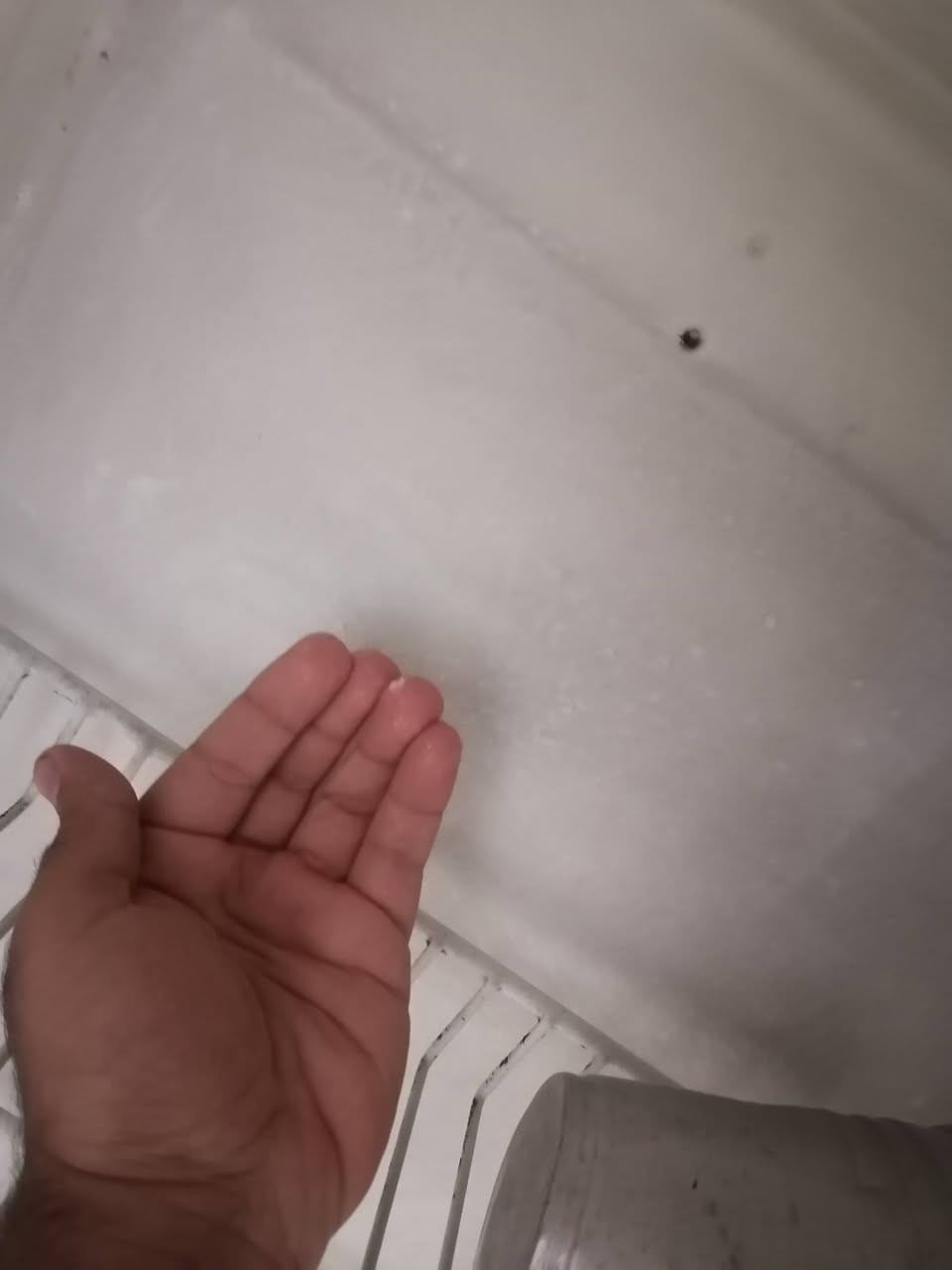 أريستون إيطاليا • استخدام قليل • جمهوري شارع سالم