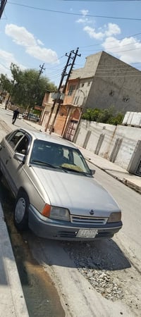 أوبل كاديت • ليسي • اربيل